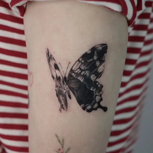 Animal, Nature
