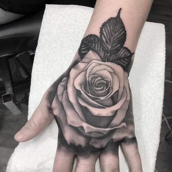 Flower, Rose