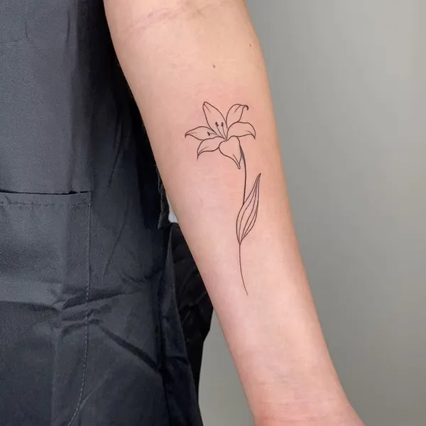 Flower, 목련, 백합, 난초, 튤립, 수선화, 야생화, 아이리스, 카네이션, 올리브 가지, 연꽃