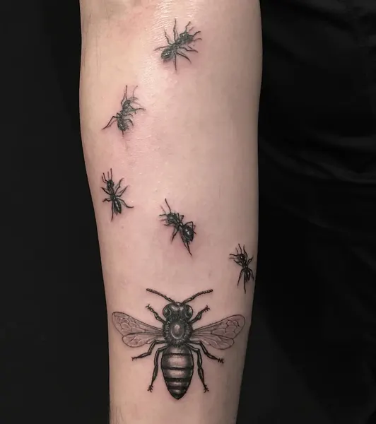 Animal, 벌