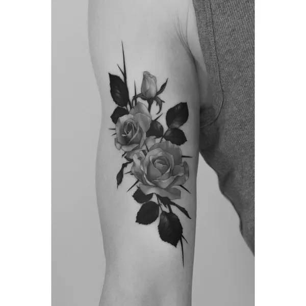 Flower, Rose, Nature