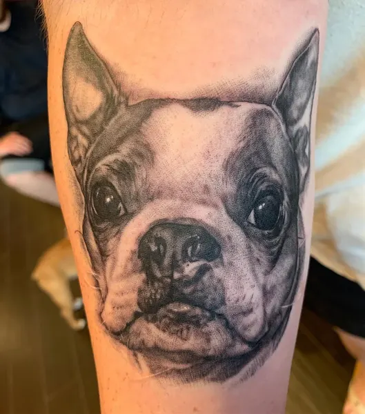 Animal