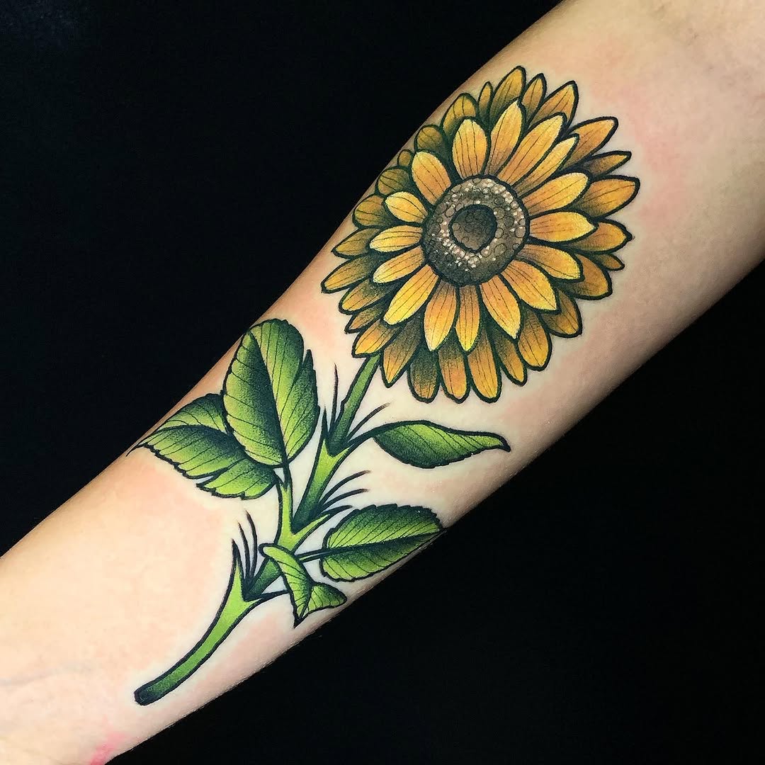 Flower, Rose, 해바라기
