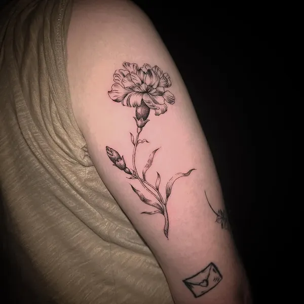 Rose, Flower