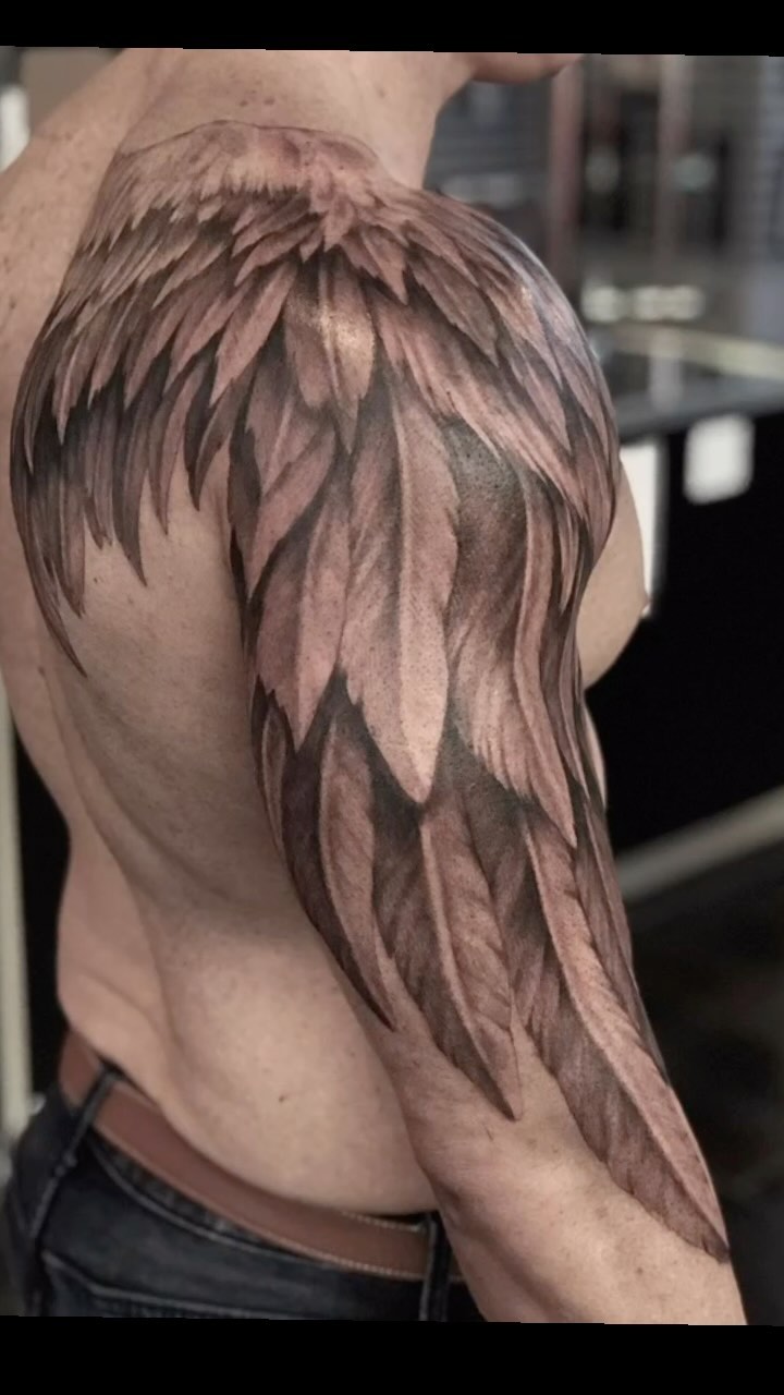 Nature, 깃털, 불사조