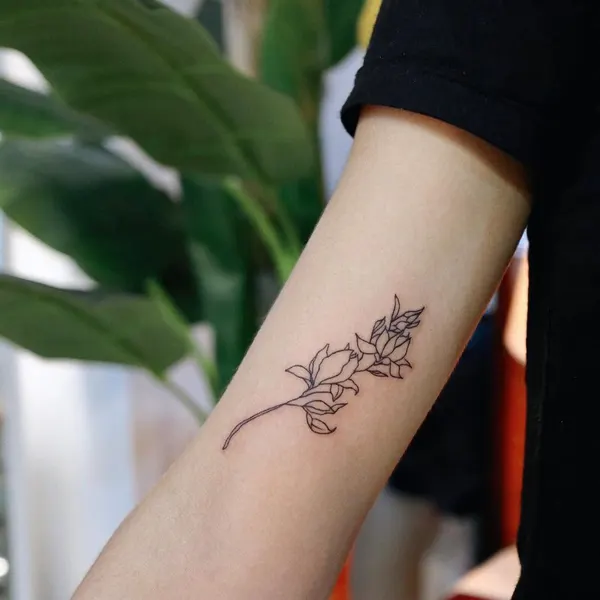 Flower, Rose