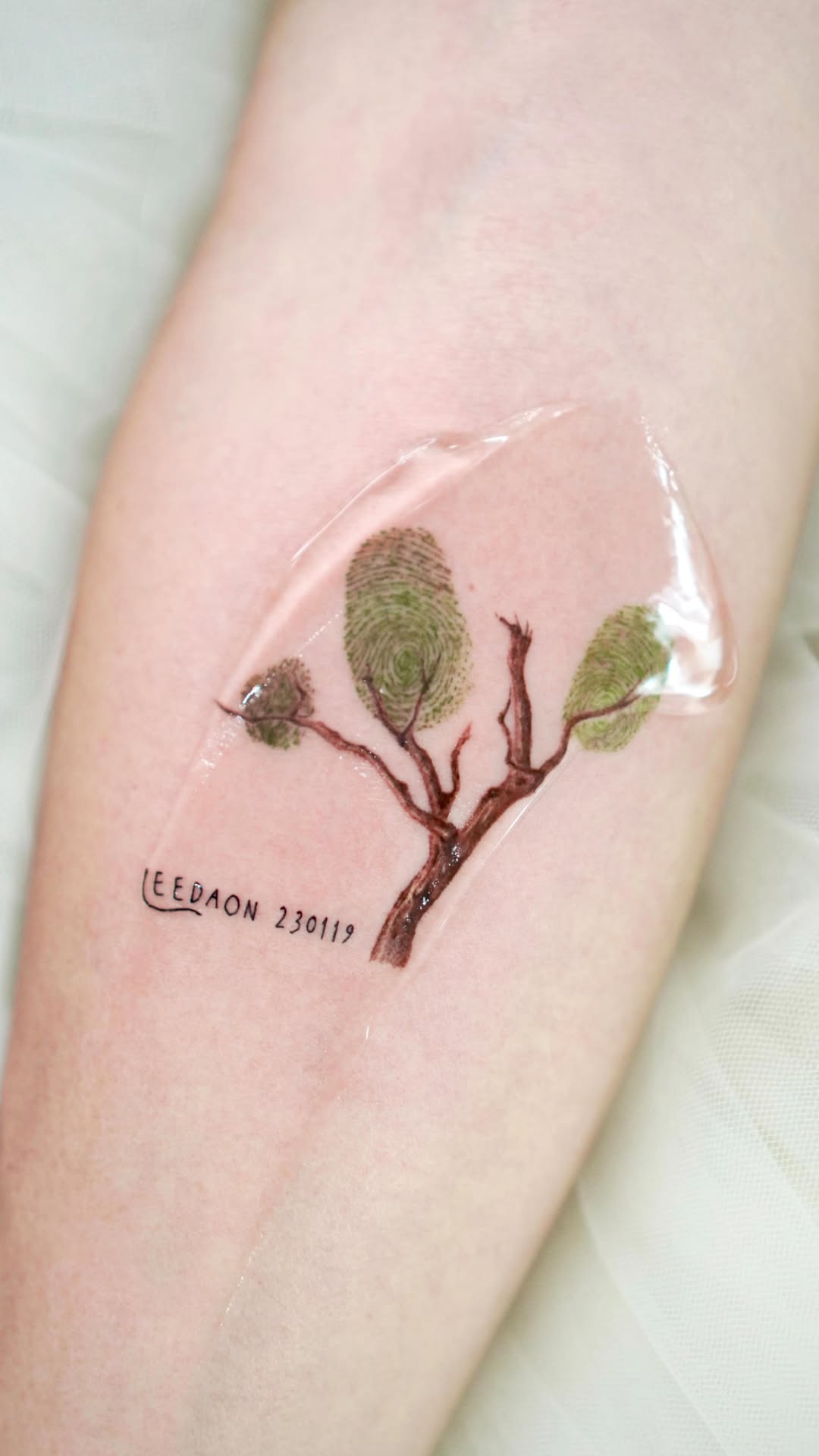 Mini, Nature, 나무, 덩굴, 뿌리, 치유, 허브, 은행잎, 올리브 가지