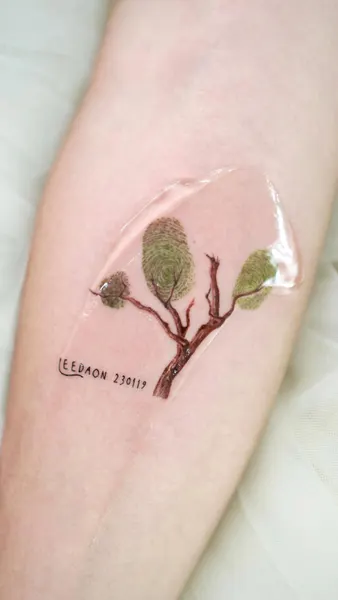 Mini, Nature, 나무, 덩굴, 뿌리, 치유, 허브, 은행잎, 올리브 가지
