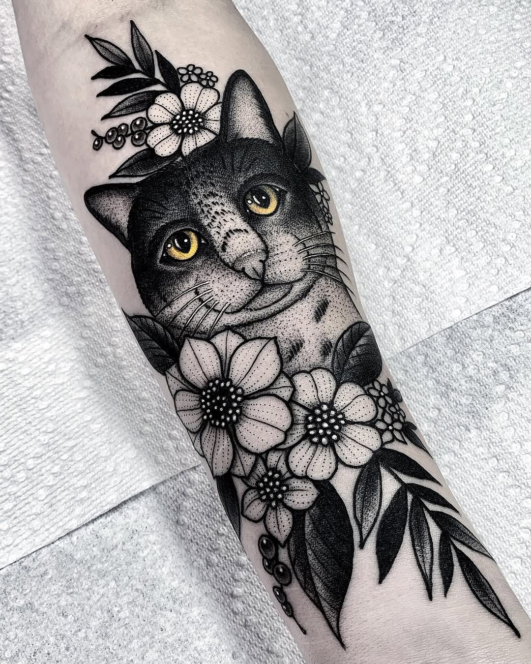 Animal