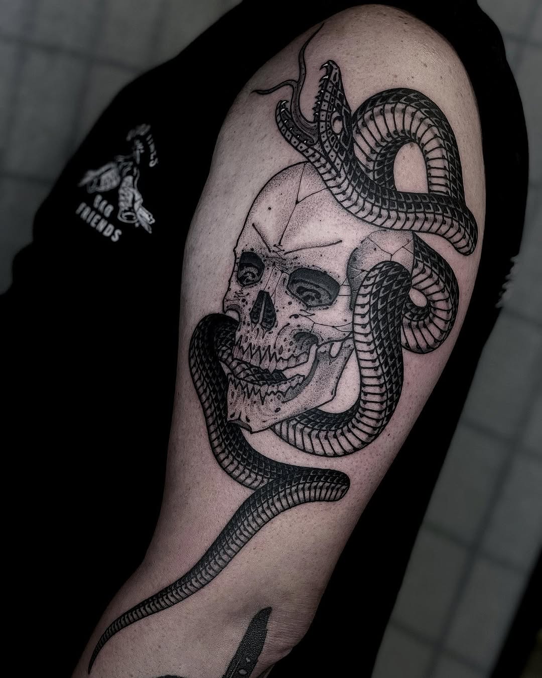 Snake