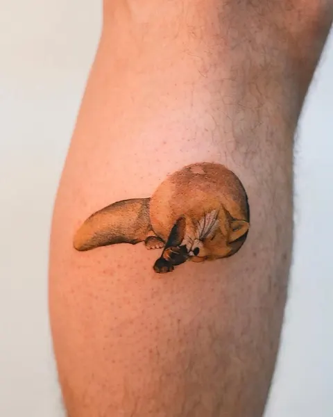 Animal, 버섯, 다람쥐, 조개껍데기, 나무늘보