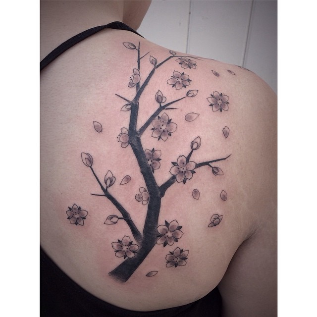 Flower, Nature, 매화, 일본 단풍, 벚꽃