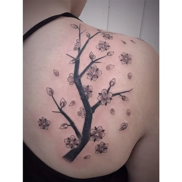 Flower, Nature, 매화, 일본 단풍, 벚꽃