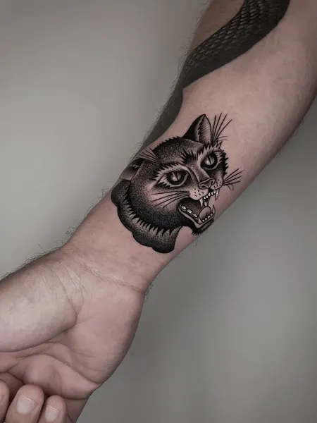 Animal