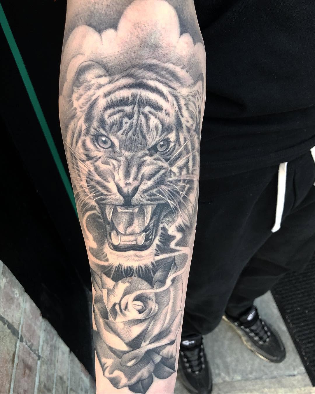 Tiger, 일본 호랑이, 한국 호랑이, 중국 호랑이