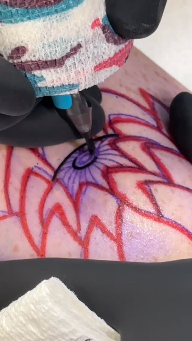 거미
