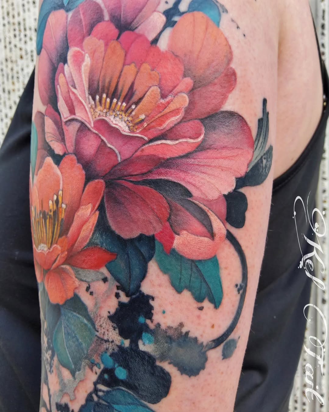Flower, Rose, Nature