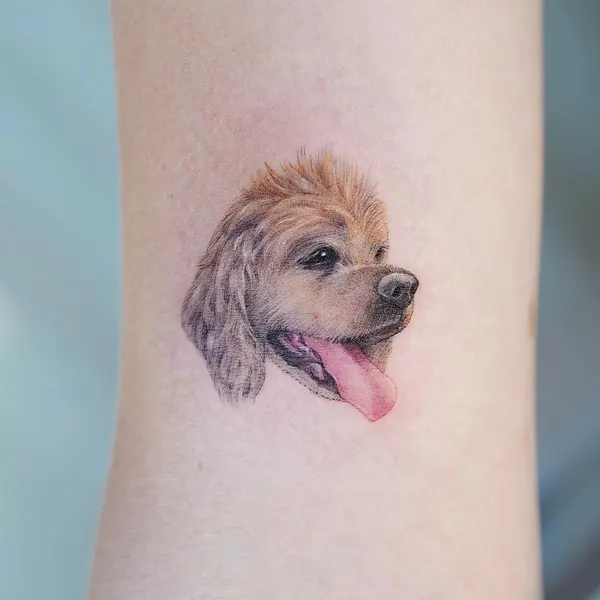 Animal, 강아지, 반려동물 추모, 반려동물
