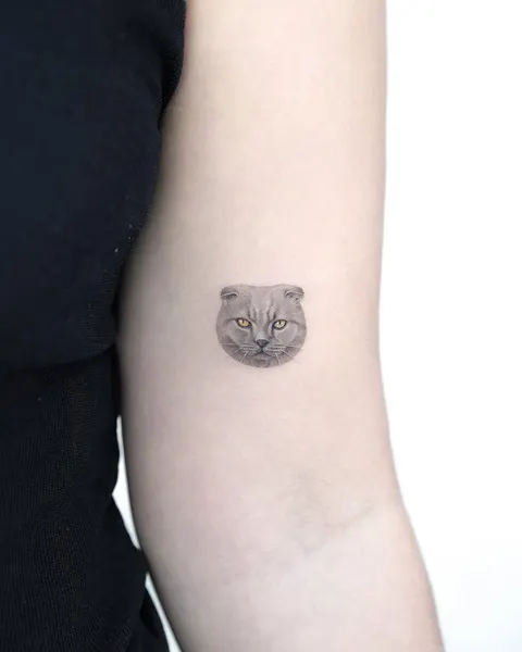 텐구, 고양이, 여우 가면, 함사, 마네키네코