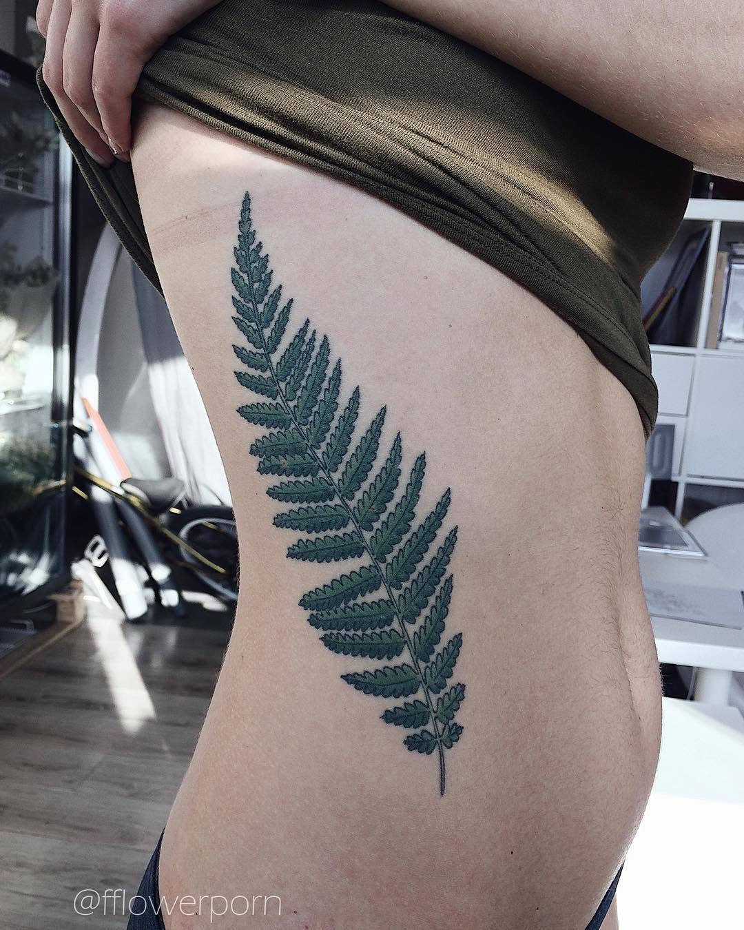 고사리, Flower, 단풍잎, 잎, 풀