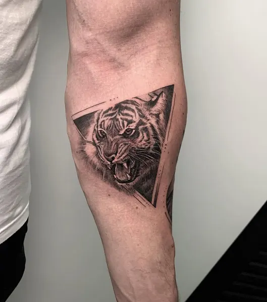 사자자리, Tiger