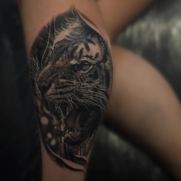 Tiger