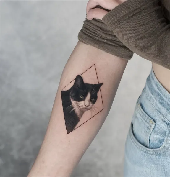 Animal