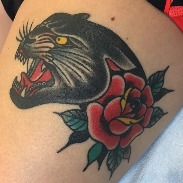 Animal, Tiger