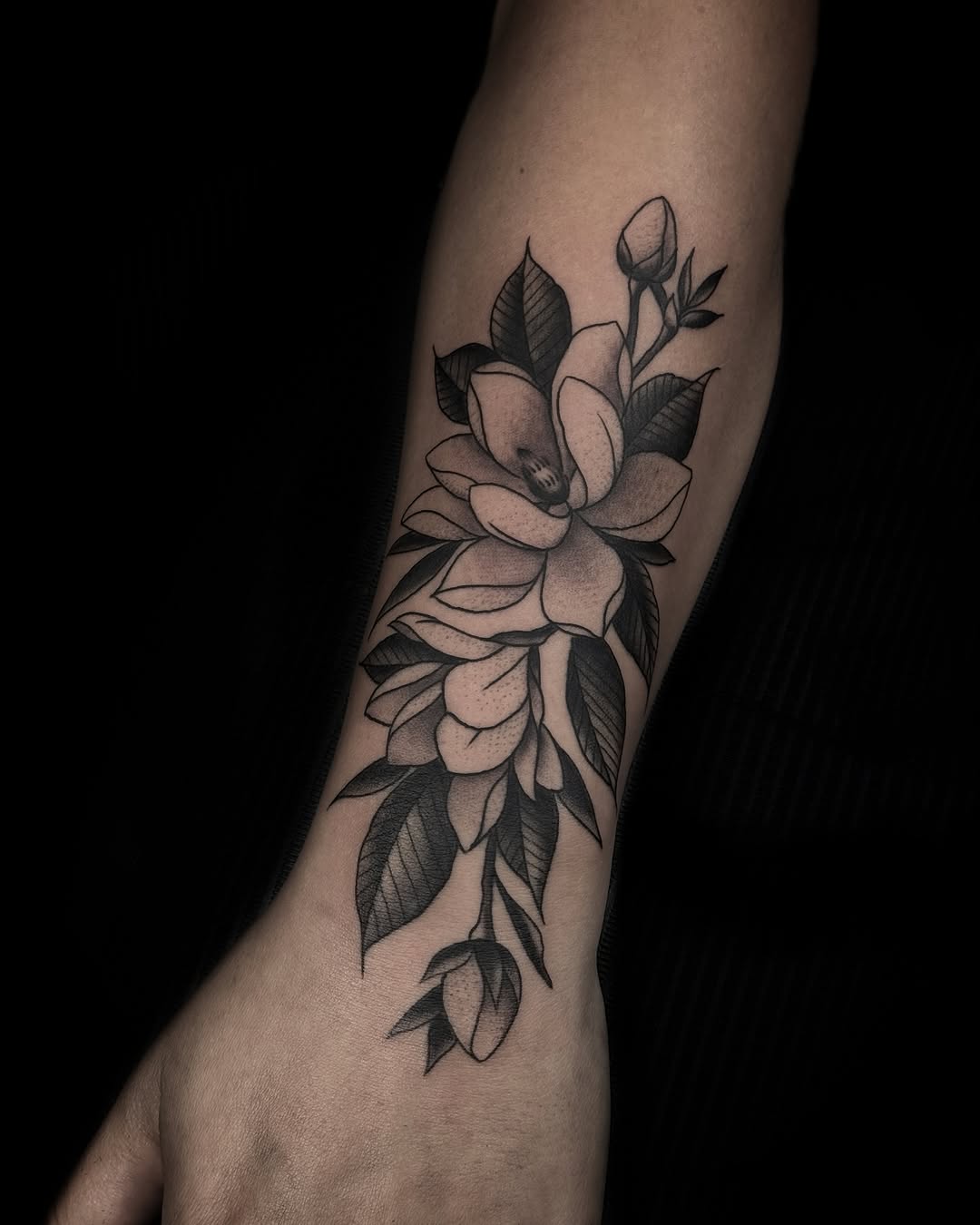 Flower, Rose, 목련