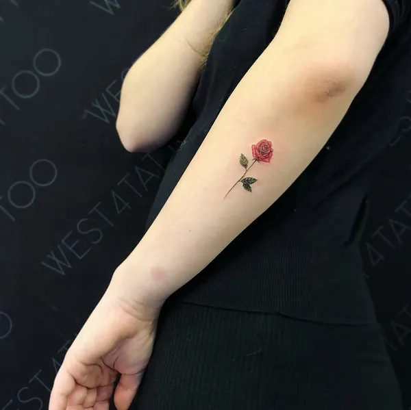 Rose, Flower, 양귀비