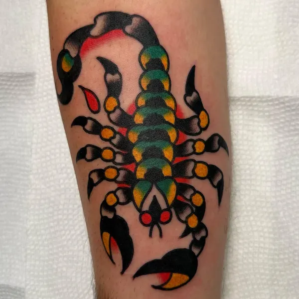 Animal, Tiger