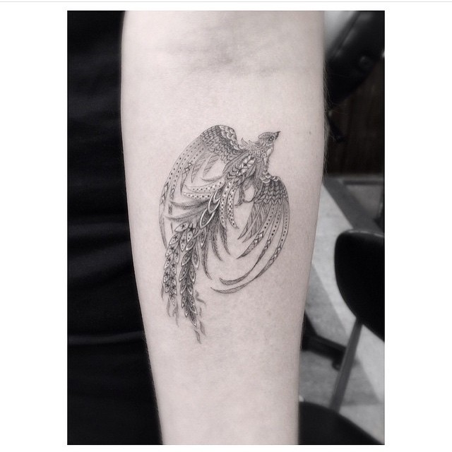 equilattera