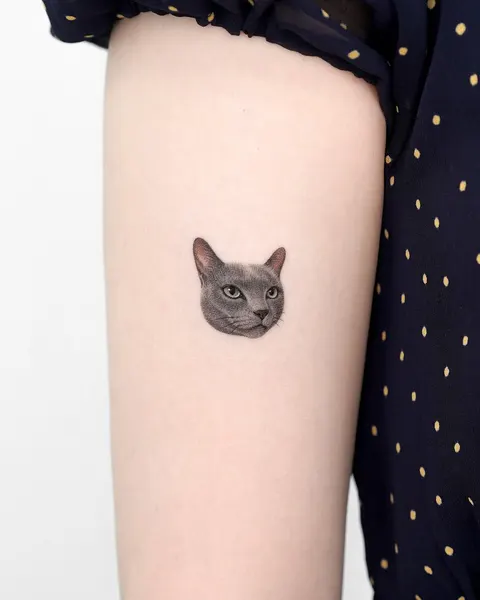 고양이, 여우 가면