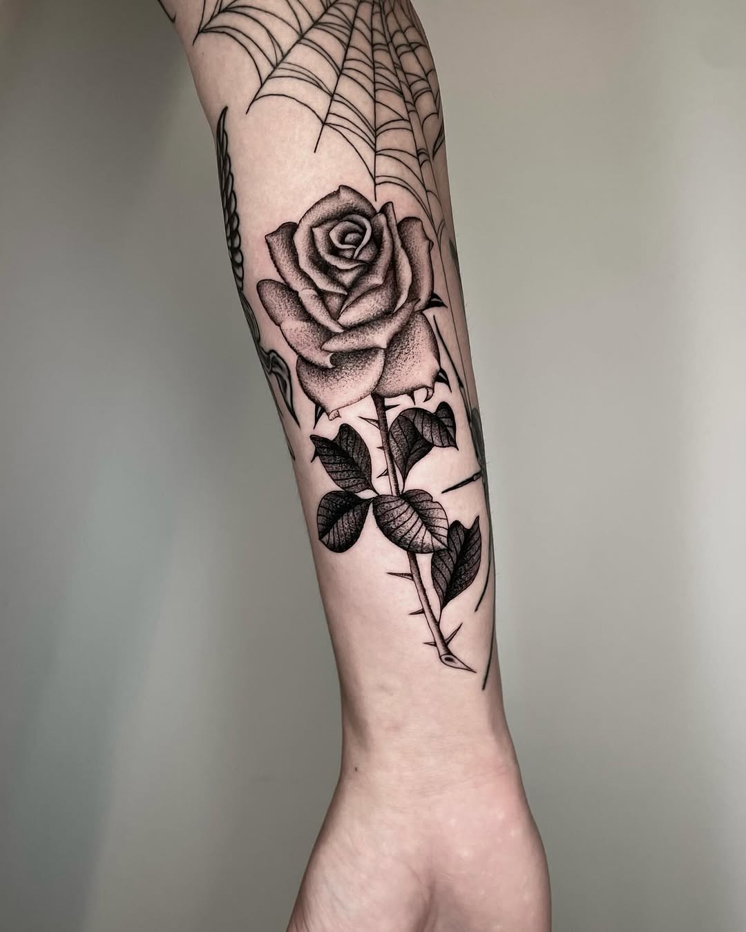 Flower, Rose