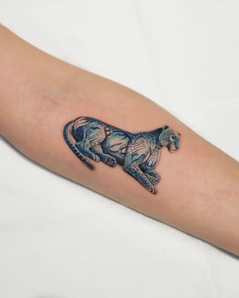 Animal, Tiger, 팬서, 치타, 표범