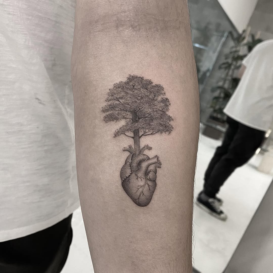 잎, Nature, 뿌리, 폐, 버섯, 은행잎, 한국 구름