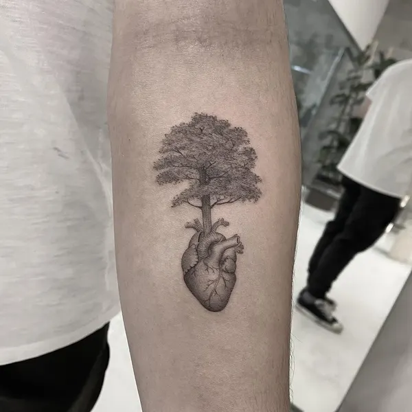 잎, Nature, 뿌리, 폐, 버섯, 은행잎, 한국 구름