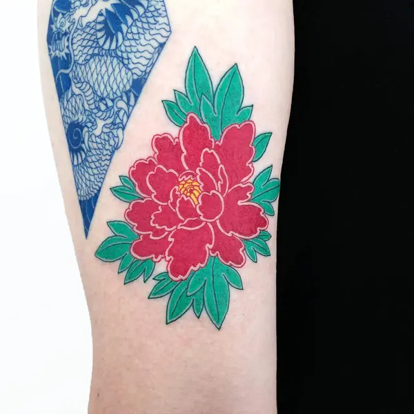 Flower, Rose