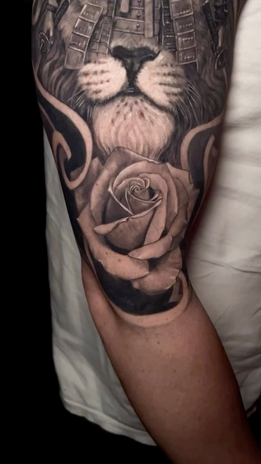 Flower, Rose