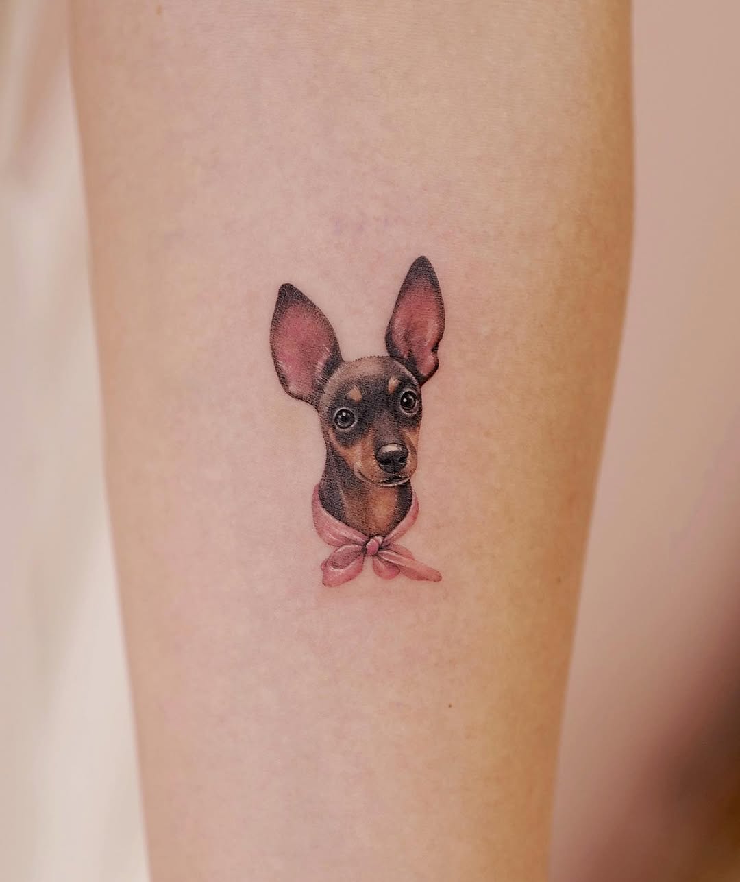 Animal, 쥐
