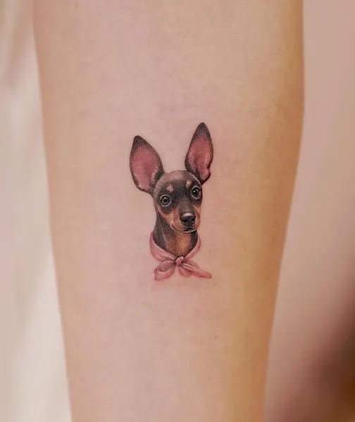 Animal, 쥐