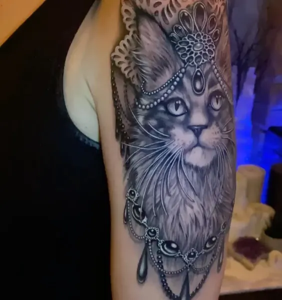 Tiger, Animal