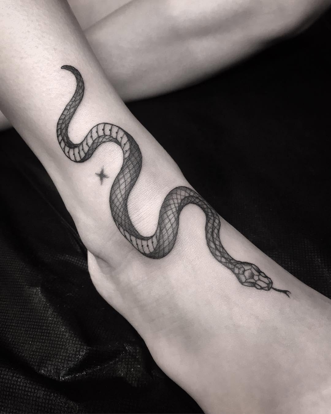 Dragon, Snake