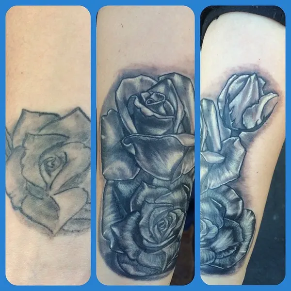 Flower, Rose