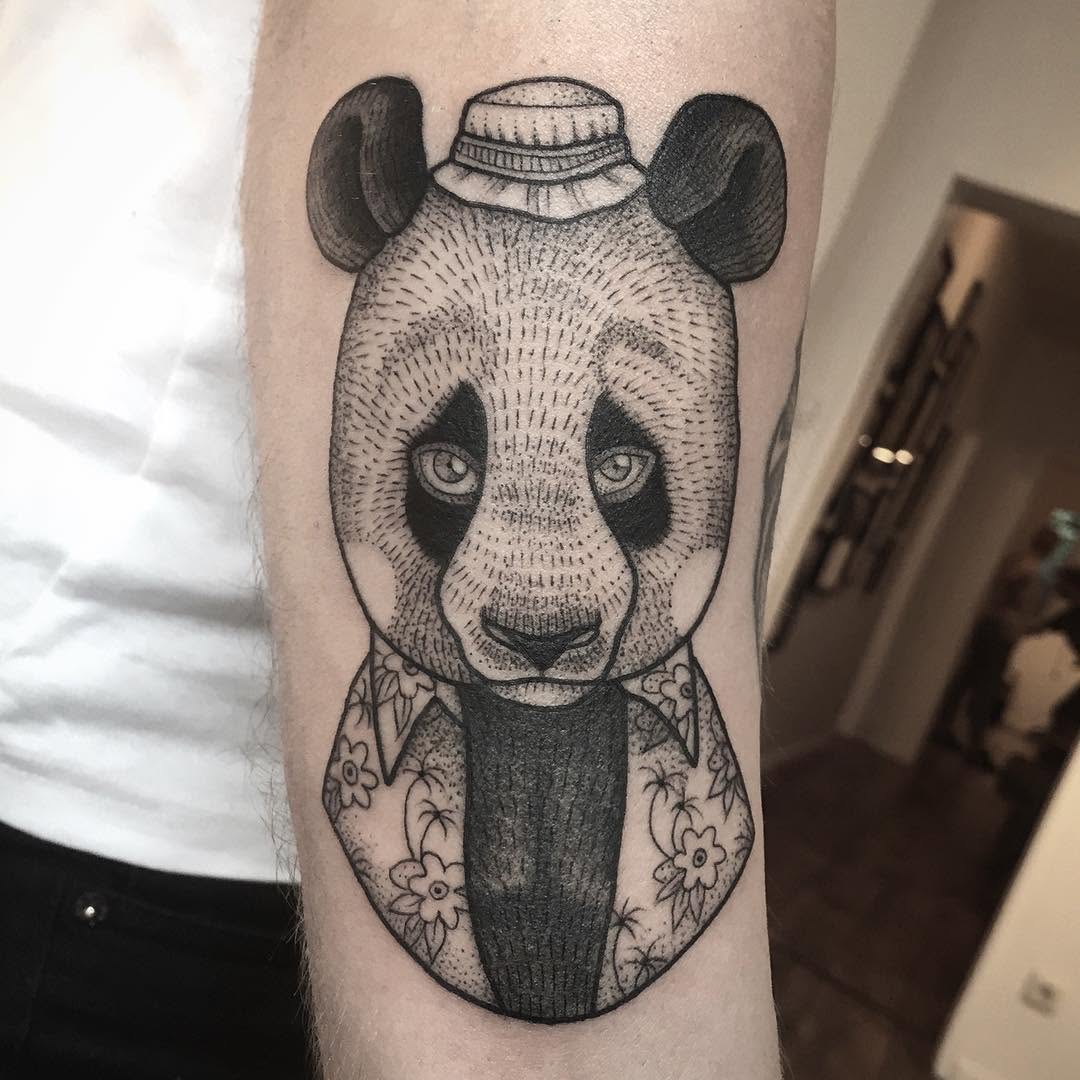 Animal, 곰, 판다, 코알라