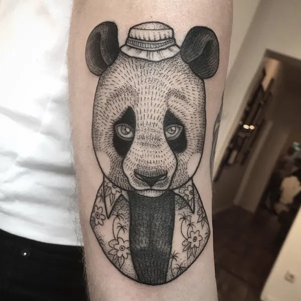 Animal, 곰, 판다, 코알라