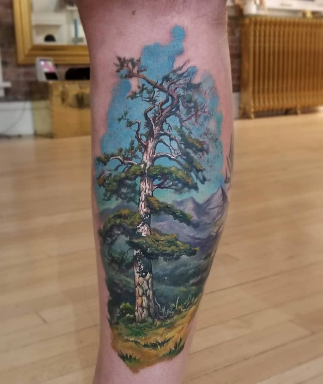 Nature, 숲, 나무, 소나무