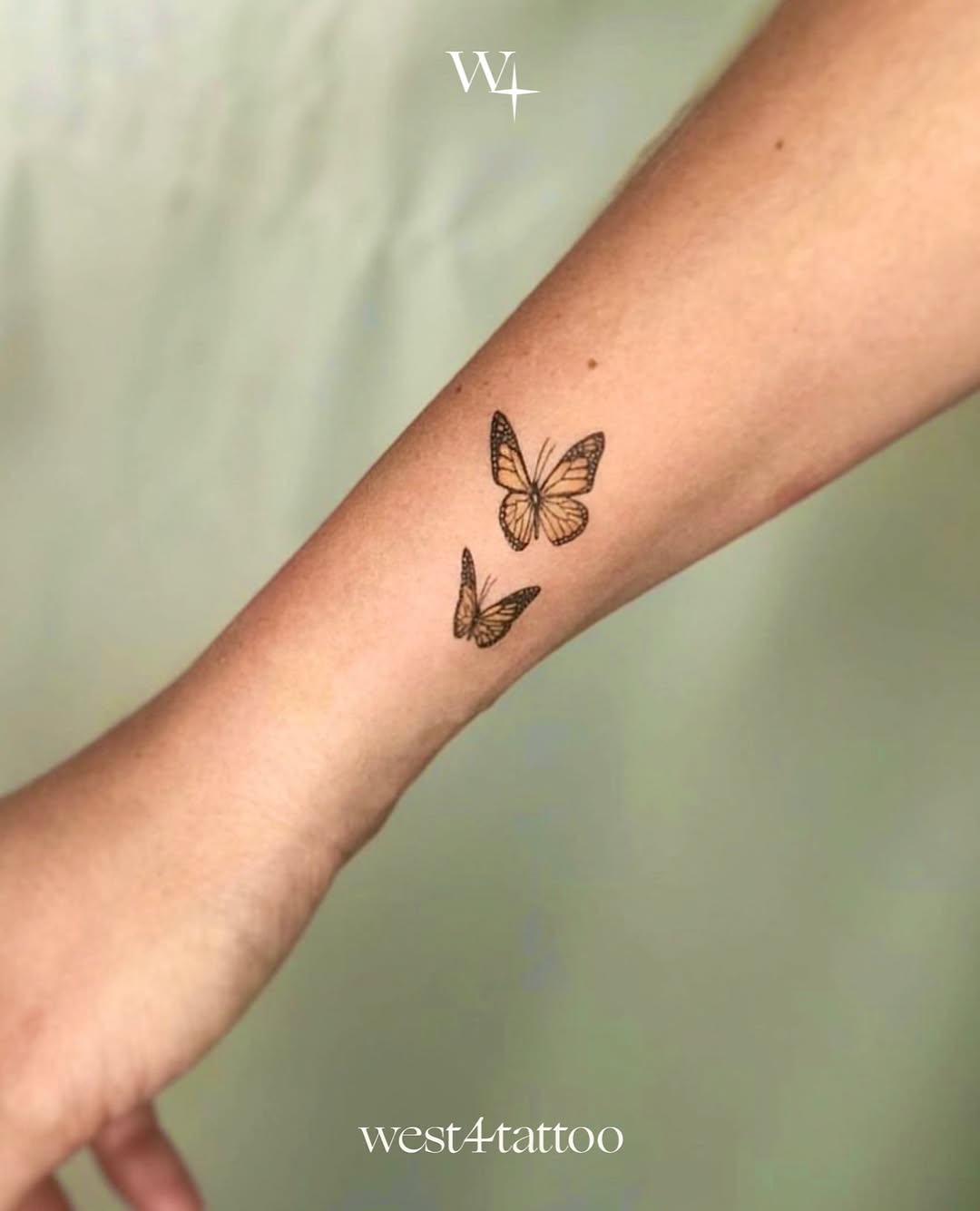 Animal, Nature, 멘디, 평화, 동백꽃, 실루엣, 암밴드