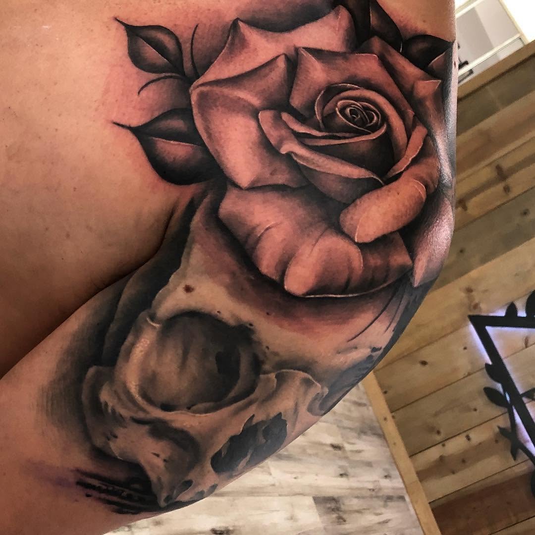 Flower, Rose