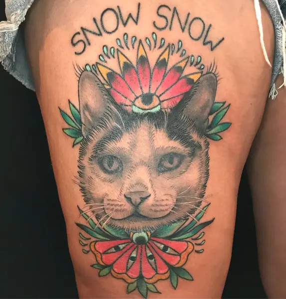 Animal